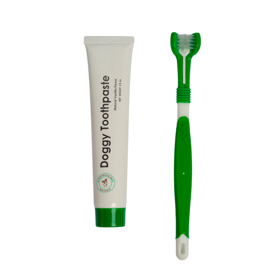 Triple headed dog toothbrush with all-natural toothpaste kit for pet oral care