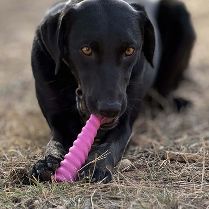 Black dog chewing pink Unicorn Horn Nylon Chew Toy designed for aggressive chewers outdoors
