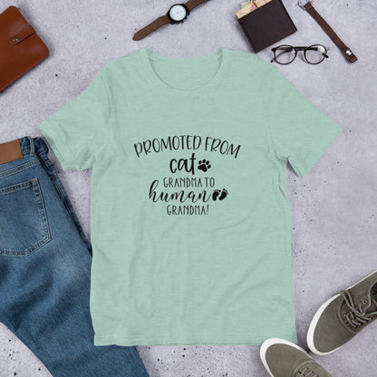 Promoted from Cat Grandma to Human Grandma T-Shirt