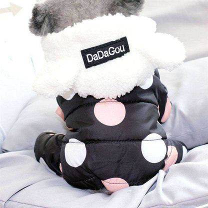 Small dog wearing a black waterproof dog snowsuit with pink and white polka dots and a white fleece-lined hood with ears