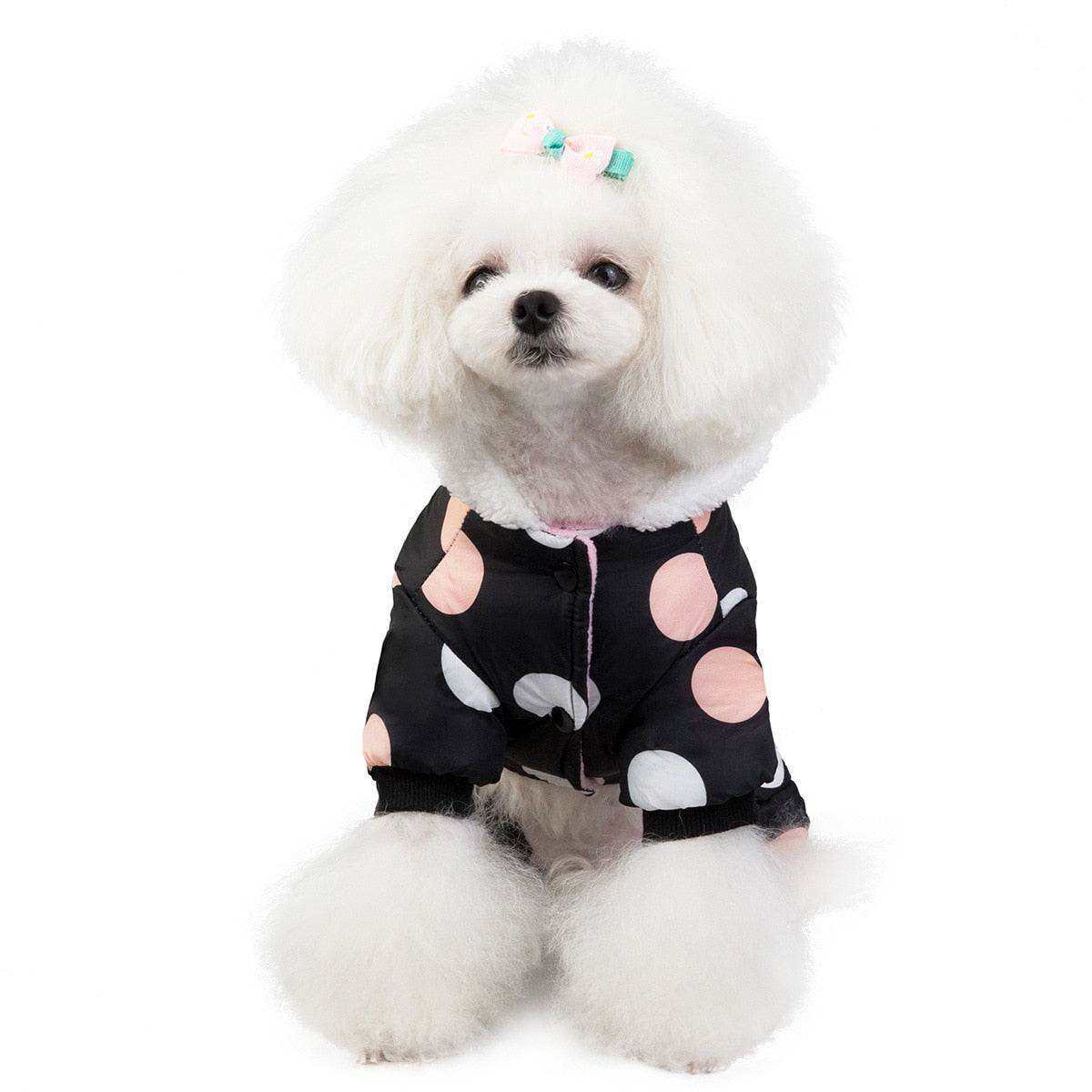 Waterproof Dog Snowsuit in black with large pink and white polka dots, featuring a fleece lining and full-body coverage on a small white fluffy dog