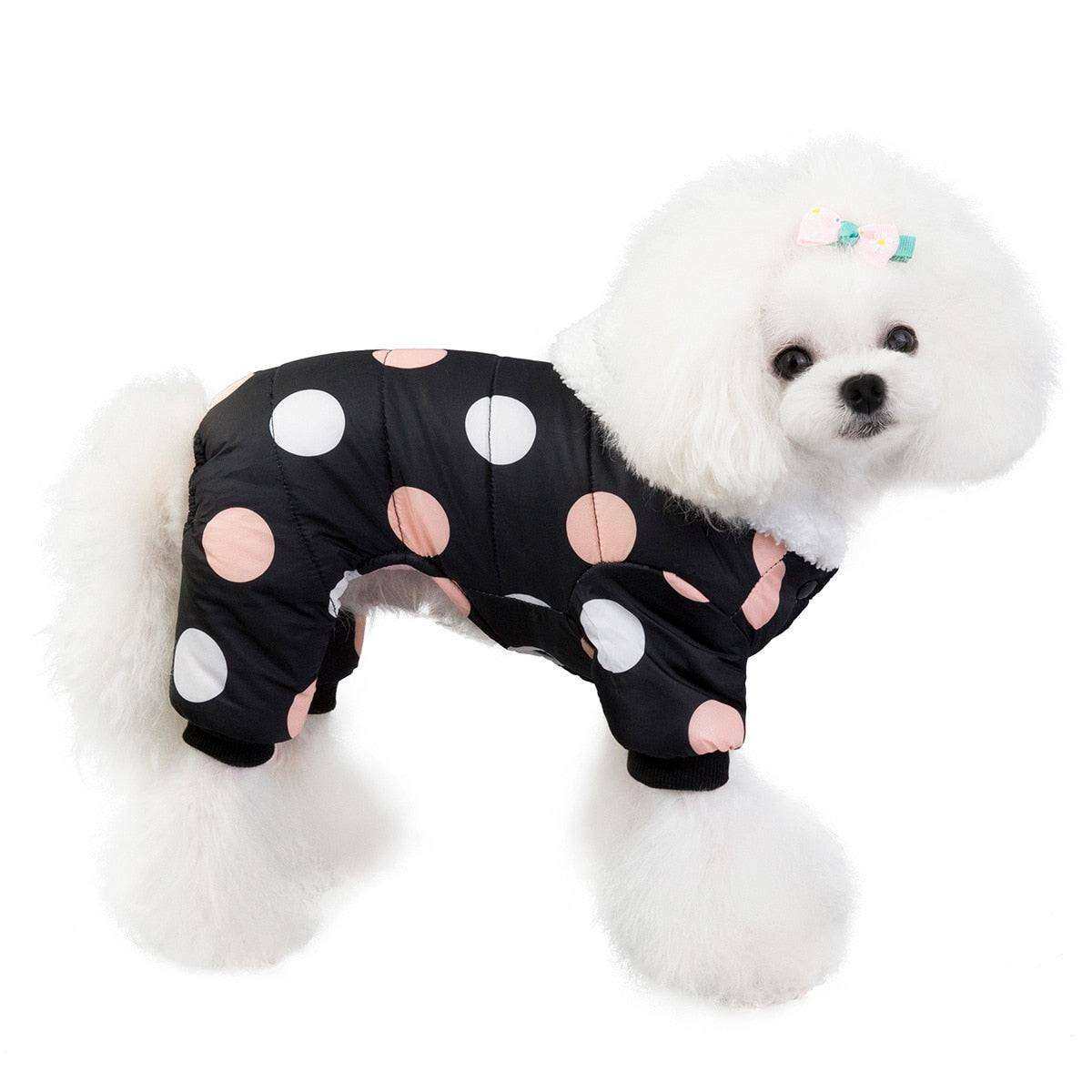 Waterproof Dog Snowsuit in black with large white and pink polka dots, full-body coverage on a small white fluffy dog