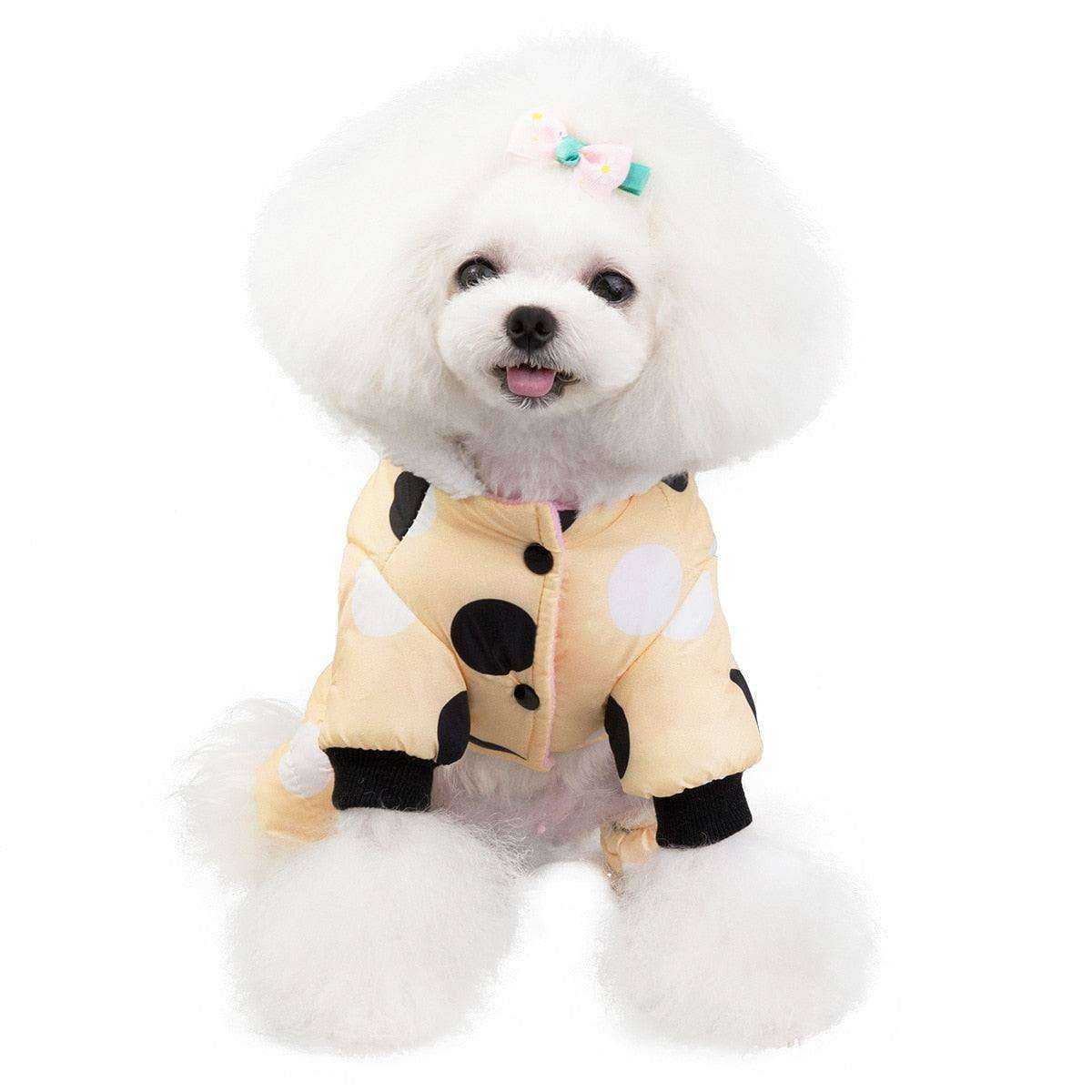 Waterproof Dog Snowsuit in light yellow with large black and white polka dots, fleece-lined with black cuffs worn by small white fluffy dog