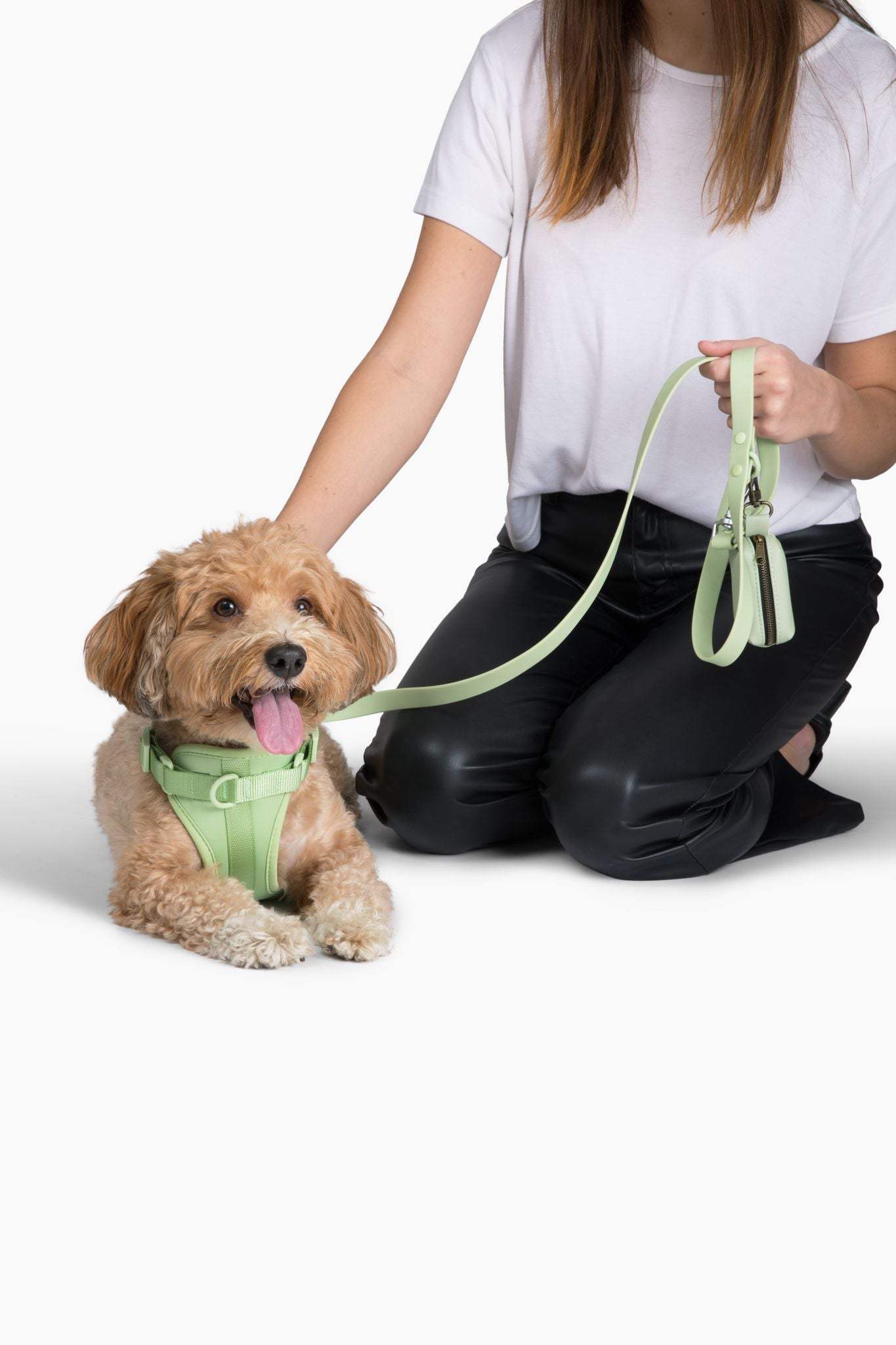 Comfortable stretchy and classic lightweight cushioned dog harness with adjustable neck and chest, quick release buckle, and three leash attachment points