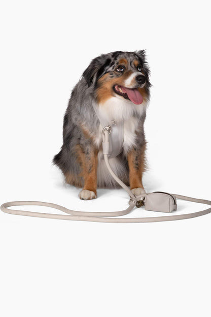 Comfortable stretchy and classic dog harness on a sitting Australian Shepherd with attached leash and waste bag dispenser