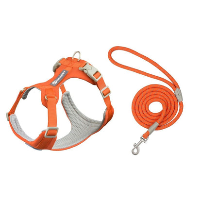 Greyhound wearing grey Whippet anti-slip adjustable dog harness with reflective strips