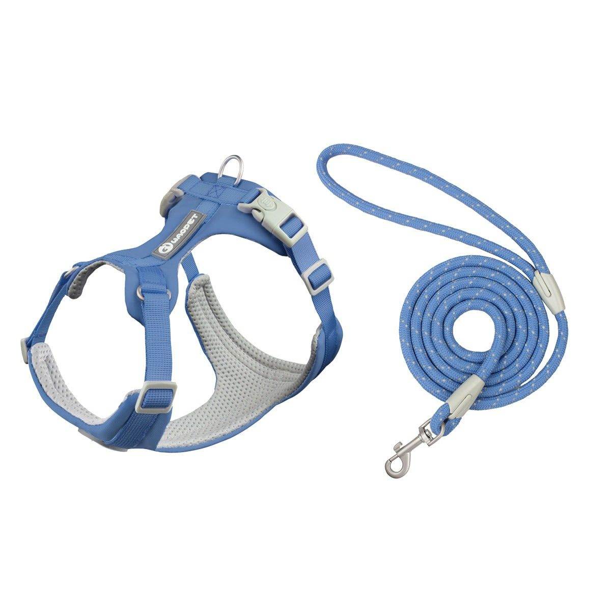 Greyhound wearing grey whippet anti-slip dog harness with reflective strips