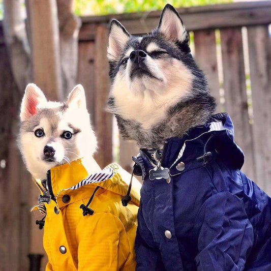 British retro thick windproof rainproof dog raincoat in multiple colors