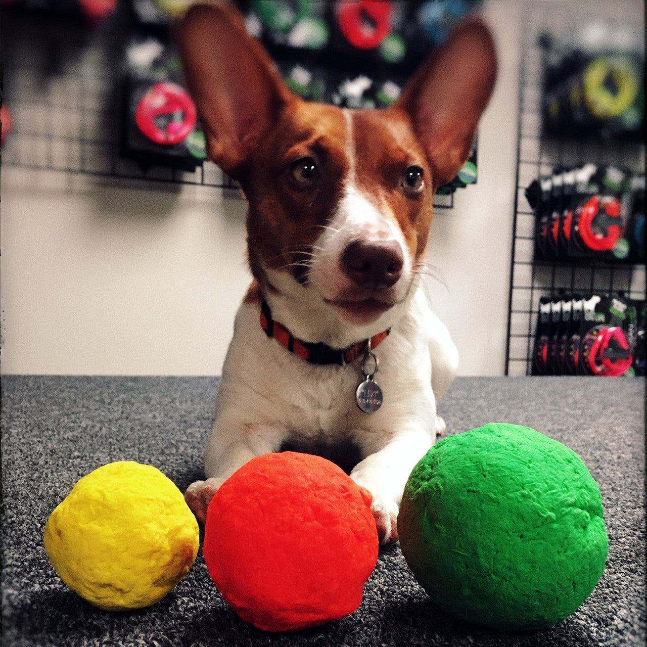 Dog with three colorful WUNDERball fetch toys in yellow, red, and green