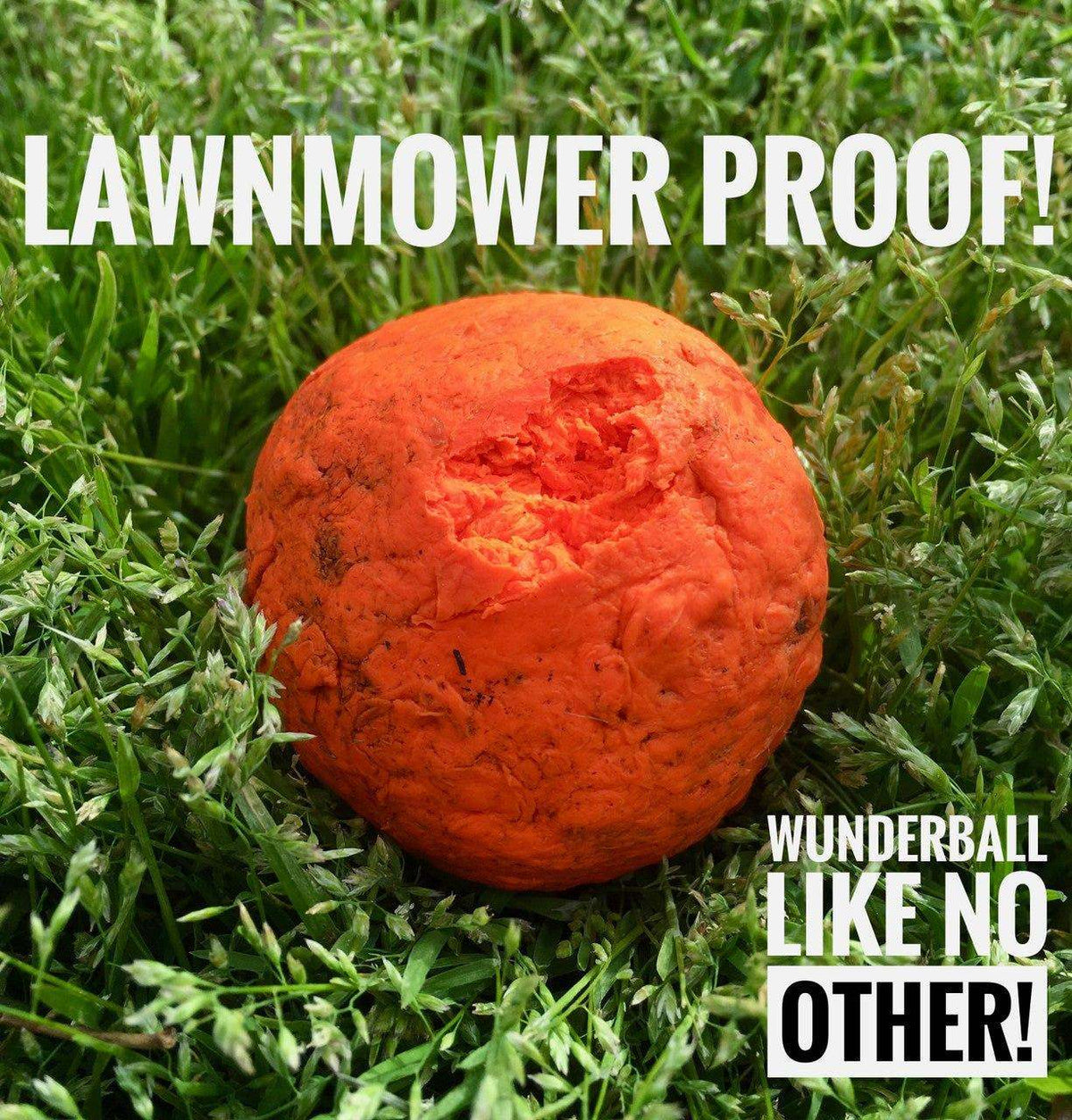 WUNDERball durable natural rubber dog fetch toy with unpredictable bounce