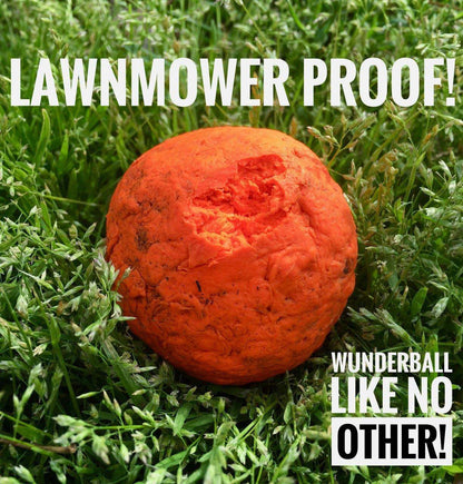 WUNDERball durable natural rubber dog fetch toy with unpredictable bounce
