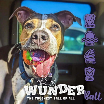 WUNDERball durable natural rubber dog fetch toy with unpredictable bounce