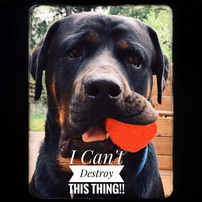 WUNDERball durable natural rubber fetch toy for dogs