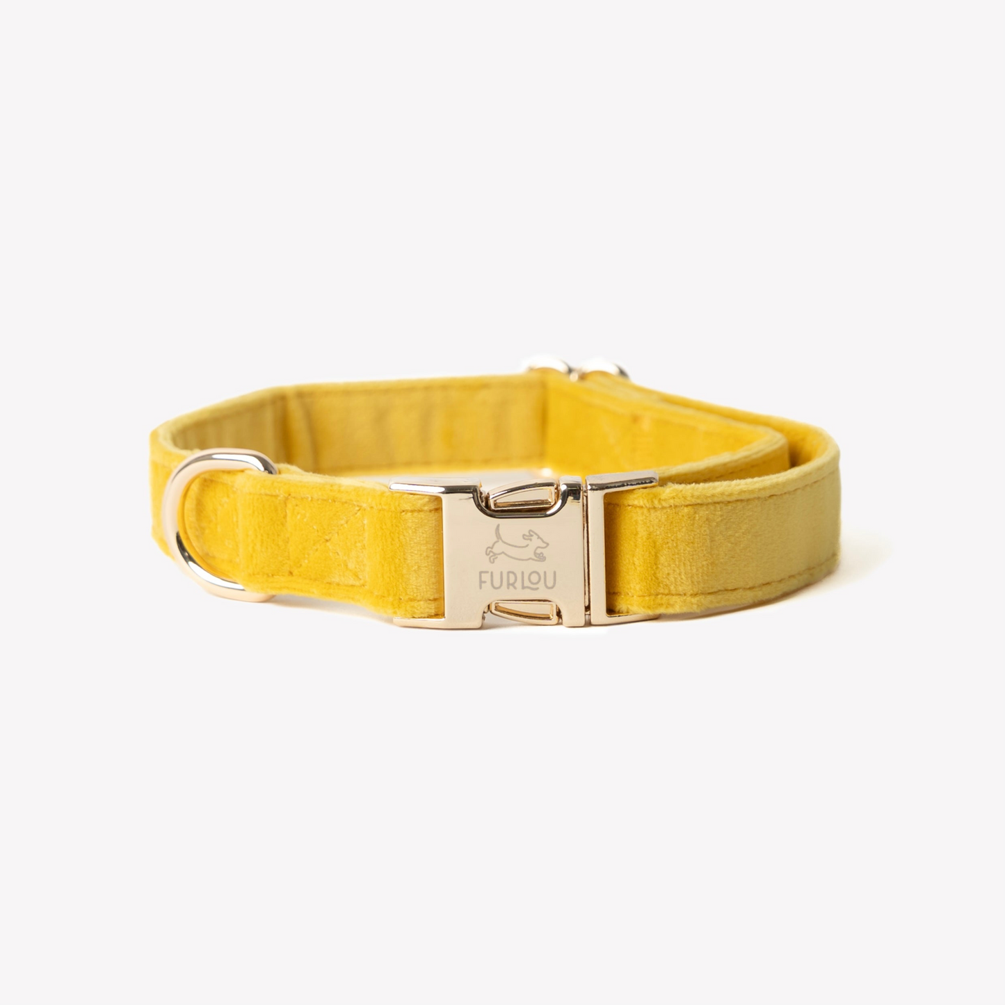 yellow velvet dog collar with gold buckle and d-ring