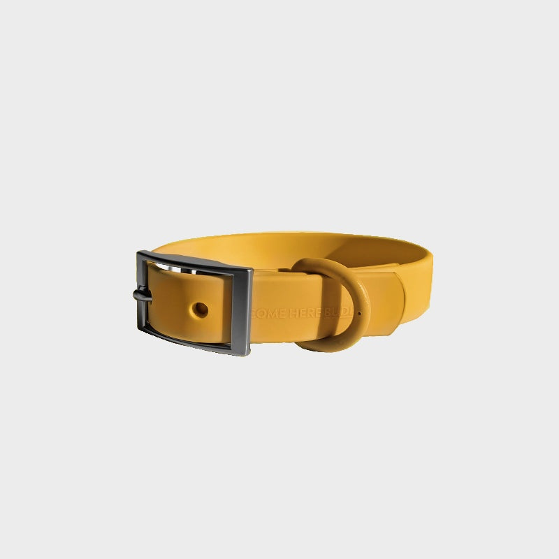 Everyday Collar - Durable, Comfortable Pet Collar for All Weather Use